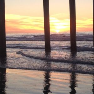 Meet your Posher, Bernice